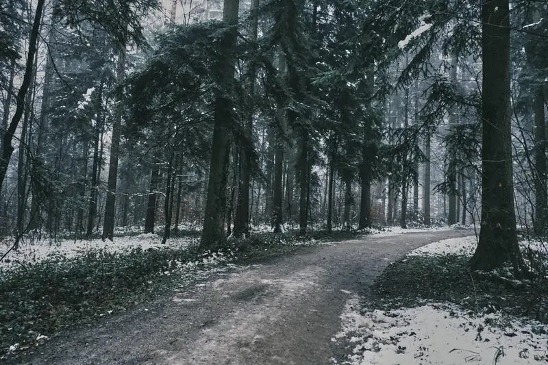 Fotografie von Andy Zimmermann, Bild 8