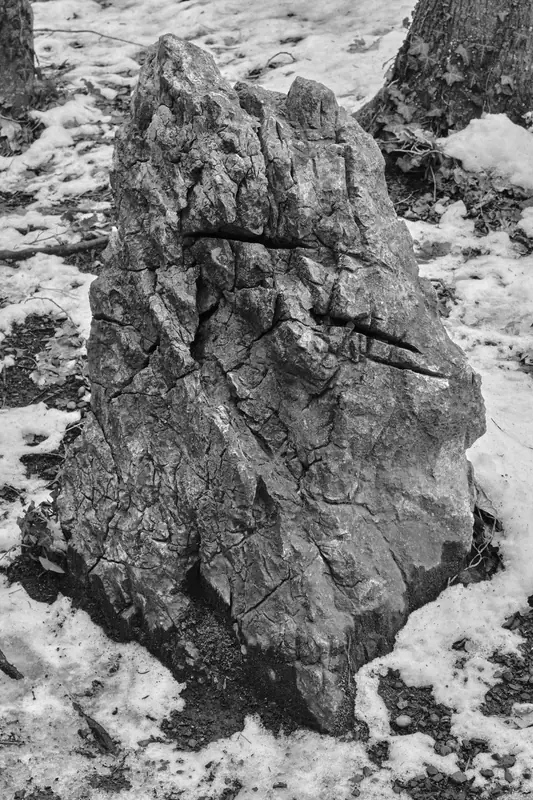 Fotografie von Andy Zimmermann, Bild 11